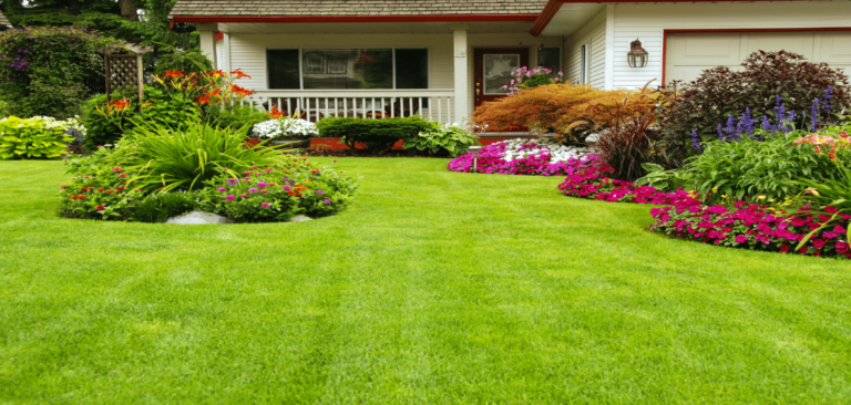 How to Maintain a Healthy and Beautiful Lawn Year Round